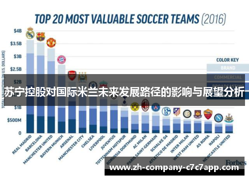 苏宁控股对国际米兰未来发展路径的影响与展望分析 苏宁控股对国际米兰未来发展路径的影响与展望分析