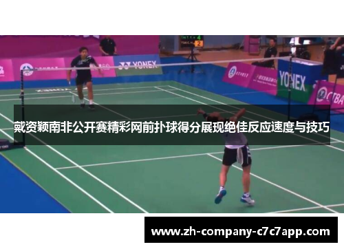 戴资颖南非公开赛精彩网前扑球得分展现绝佳反应速度与技巧
