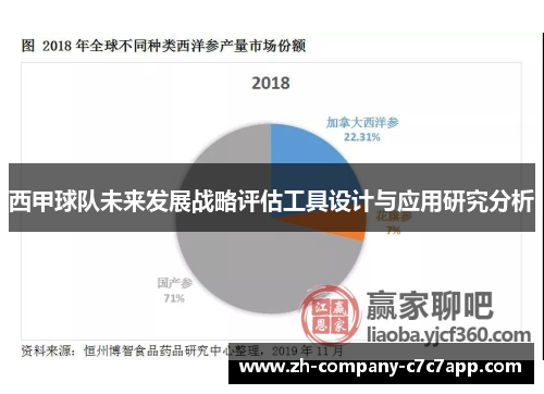 西甲球队未来发展战略评估工具设计与应用研究分析